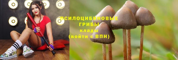 дурь Аркадак