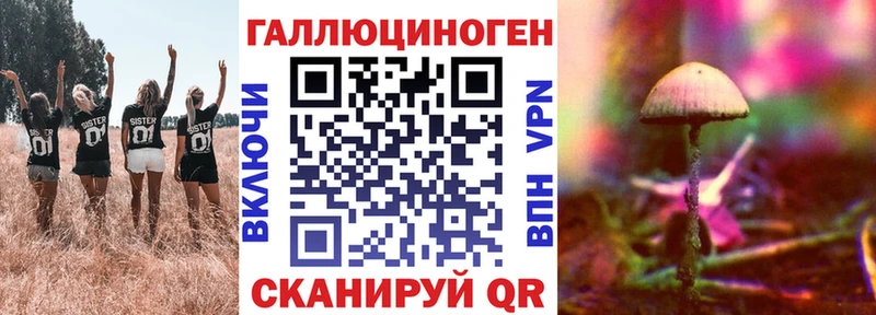 площадка клад  Суворов  Галлюциногенные грибы ЛСД 
